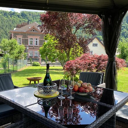 Neu - Ferienwohnungen Im Winzergarten Verbandsgemeinde Verbandsgemeinde Traben-Trarbach Buitenkant foto