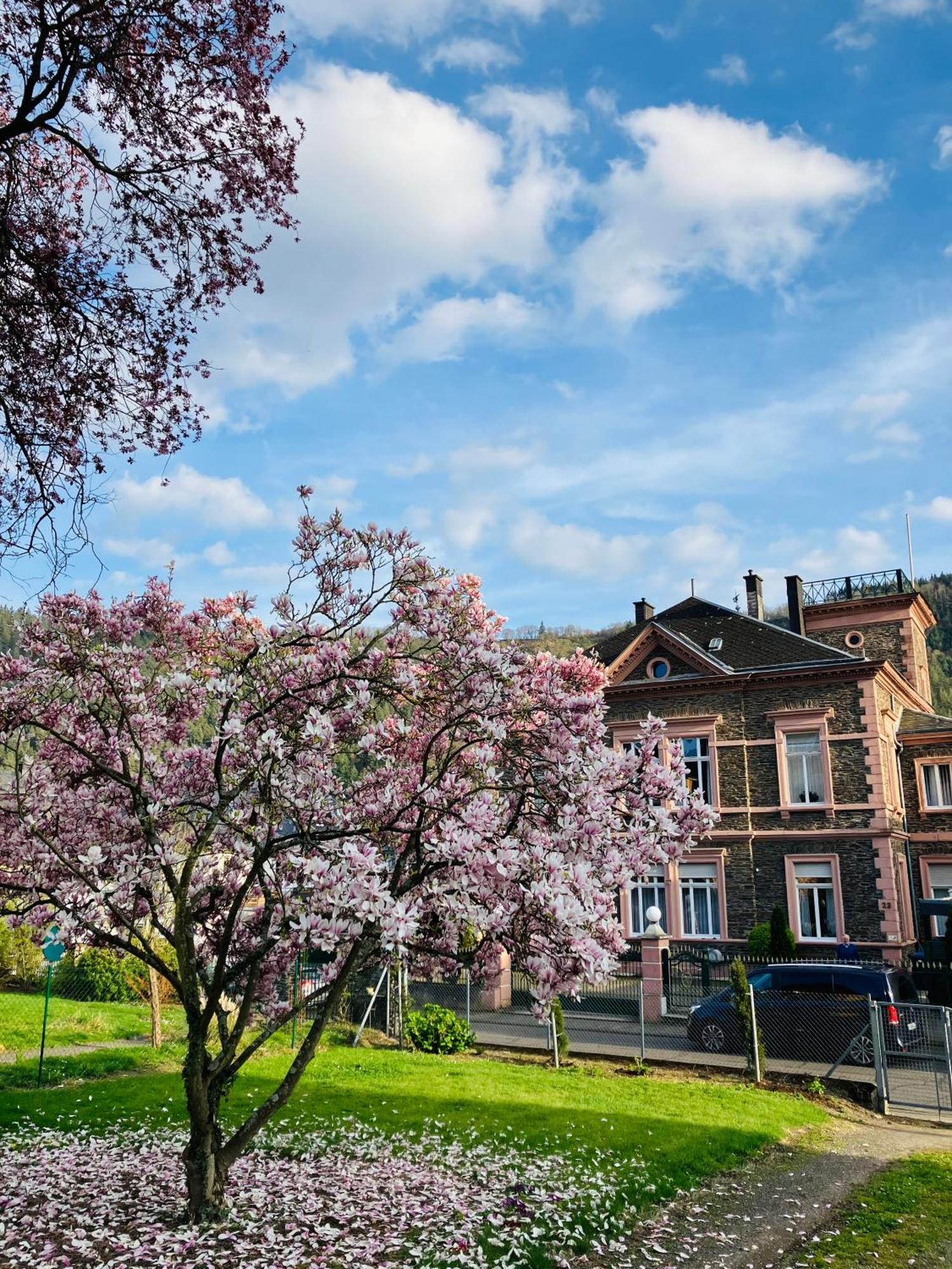 Neu - Ferienwohnungen Im Winzergarten Verbandsgemeinde Verbandsgemeinde Traben-Trarbach Buitenkant foto