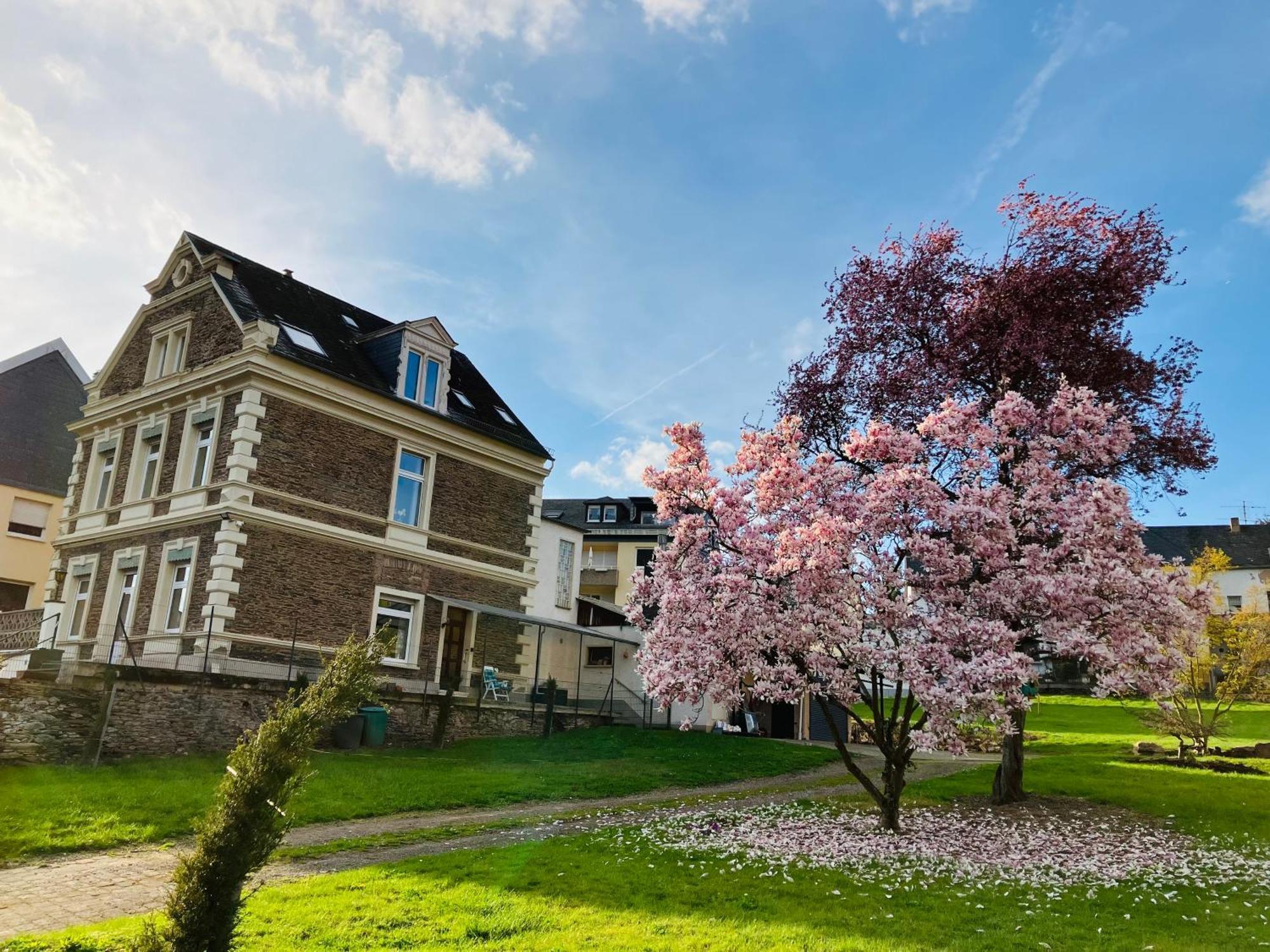 Neu - Ferienwohnungen Im Winzergarten Verbandsgemeinde Verbandsgemeinde Traben-Trarbach Buitenkant foto